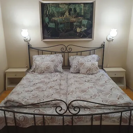 Zsolnay شقة شيوفوك